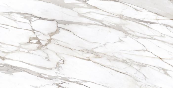 Calacatta Gold Canova