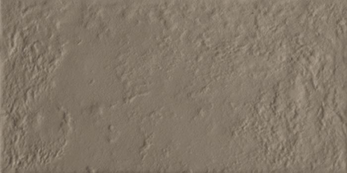 Tortora